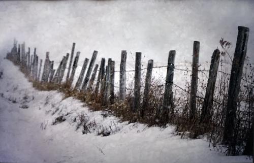 “Snowy Fence Line “ Connie Bocko
